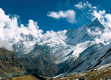 pexels-thepoeticimagery-1505175-2902939